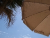 100_4711.jpg